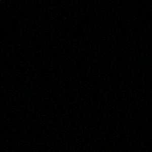 Meet your Posher, Syd